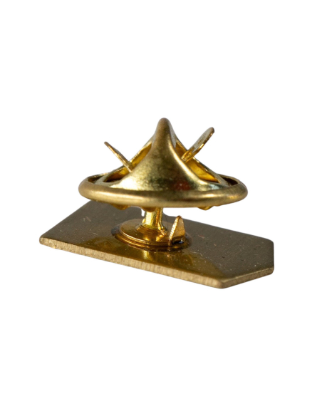 BSG Chemie Leipzig - Pin - Logo