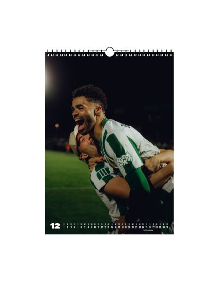 bsg-chemie-leipzig-kalender-2026-dezember bsg-chemie-leipzig-kalender-2026-dezember