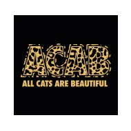 All Cats Are Beautiful